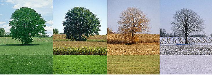 《卧龙：苍天陨落》比《仁王》更开放 值得玩家探索