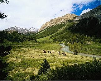 《星际战甲》PC主机跨平台联机功能现已上线